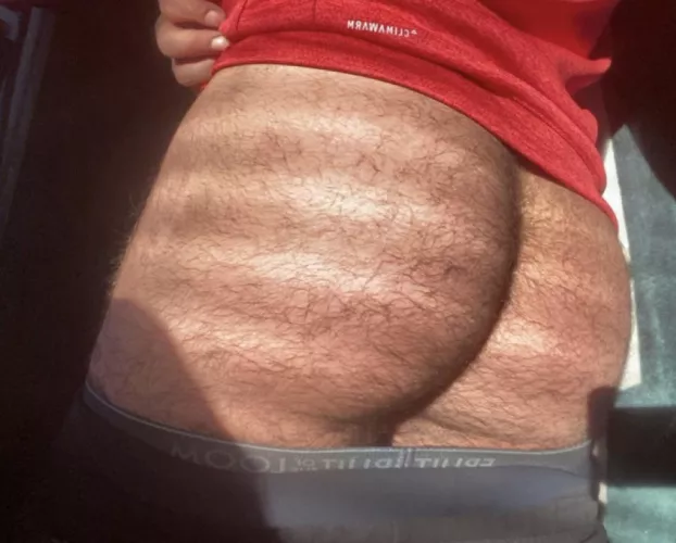 When the sunlight hits just right 🌞 