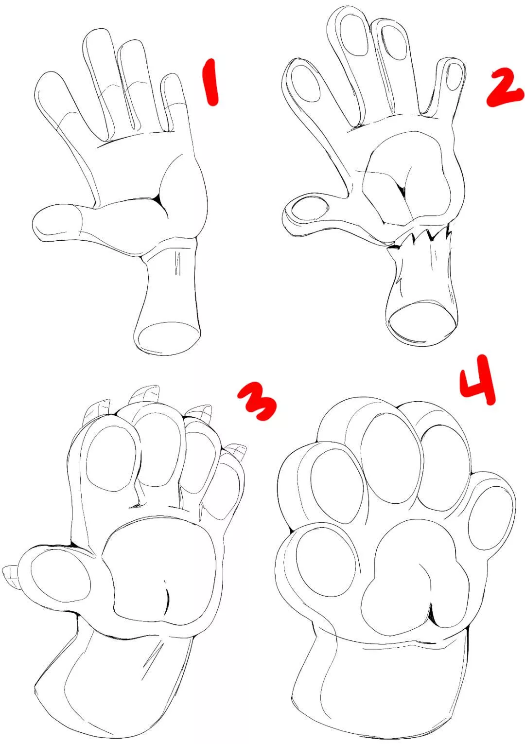 Which paw do you prefer / draw? 