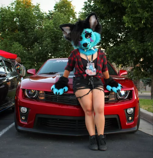 Any car furries here? [@Tigermoon]