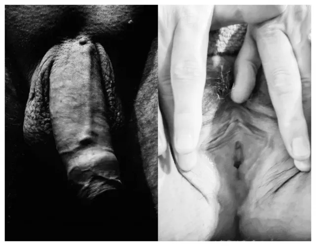 BW moments. We are a kinky 50+ couple. 