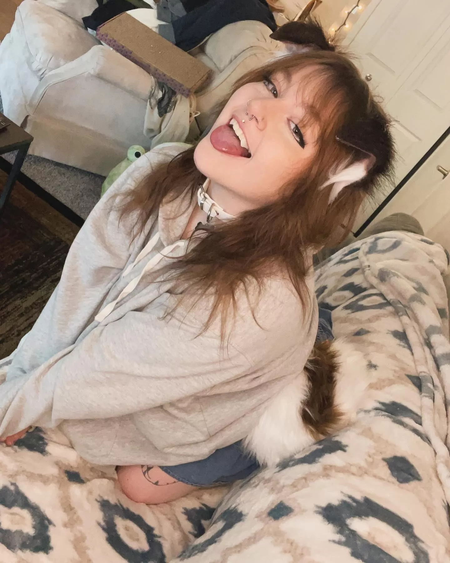 can’t i stay on the couch?? 🐾