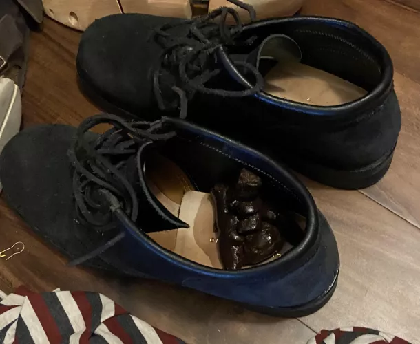 Dog used my Boots as a toilet, tips to restore their dignity