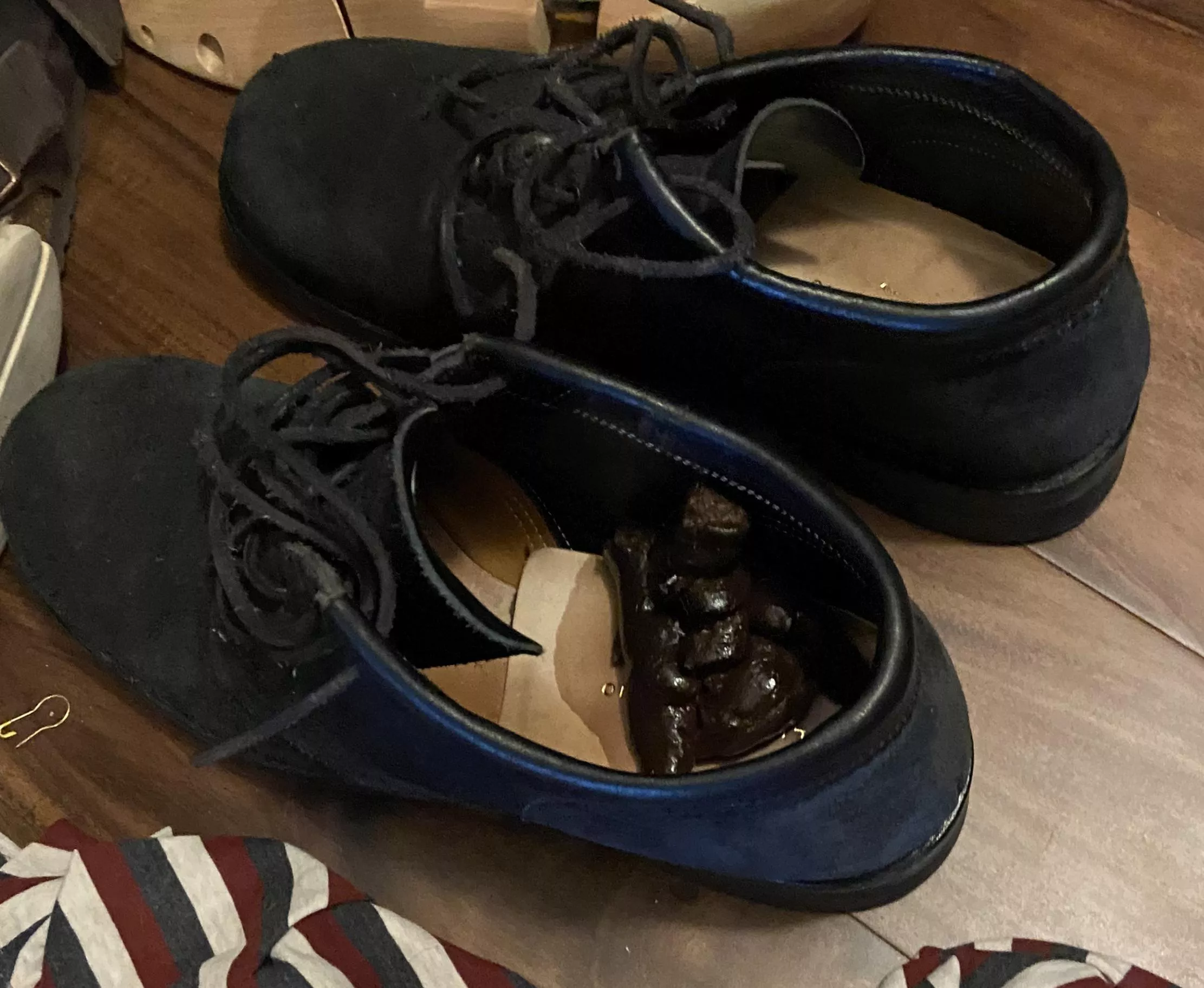 Dog used my Boots as a toilet, tips to restore their dignity