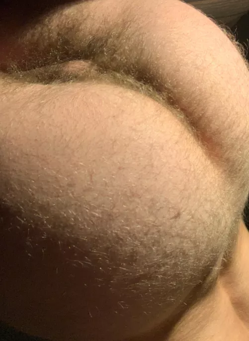 First post :) hairy enough?
