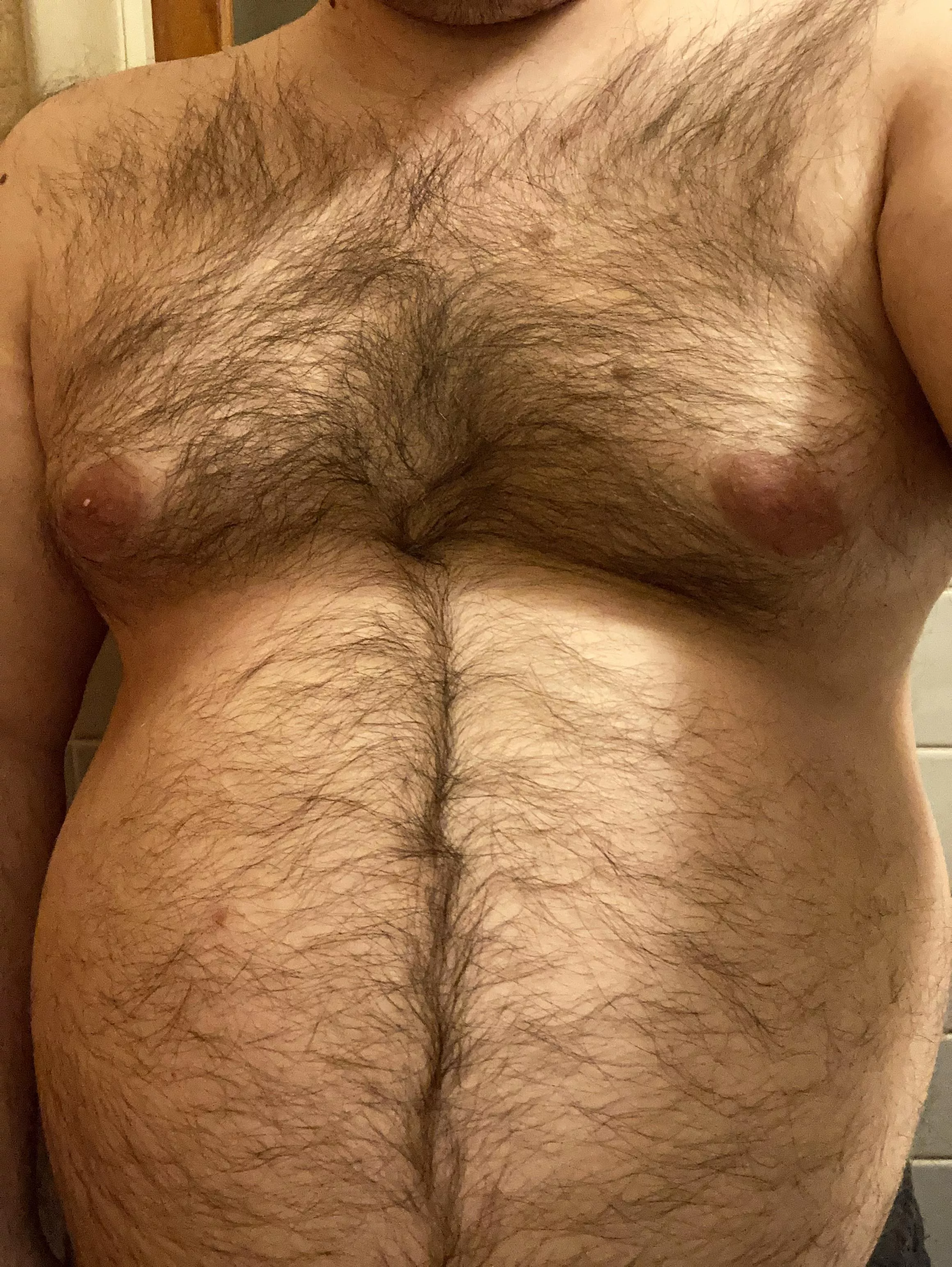 Hello 👋 (DMs open)