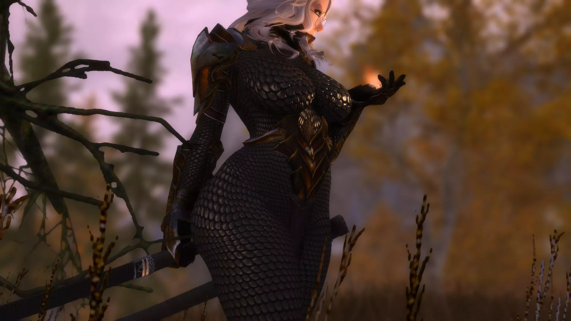 If anyone has a camera mod they can recommend, I’d be ecstatic. 