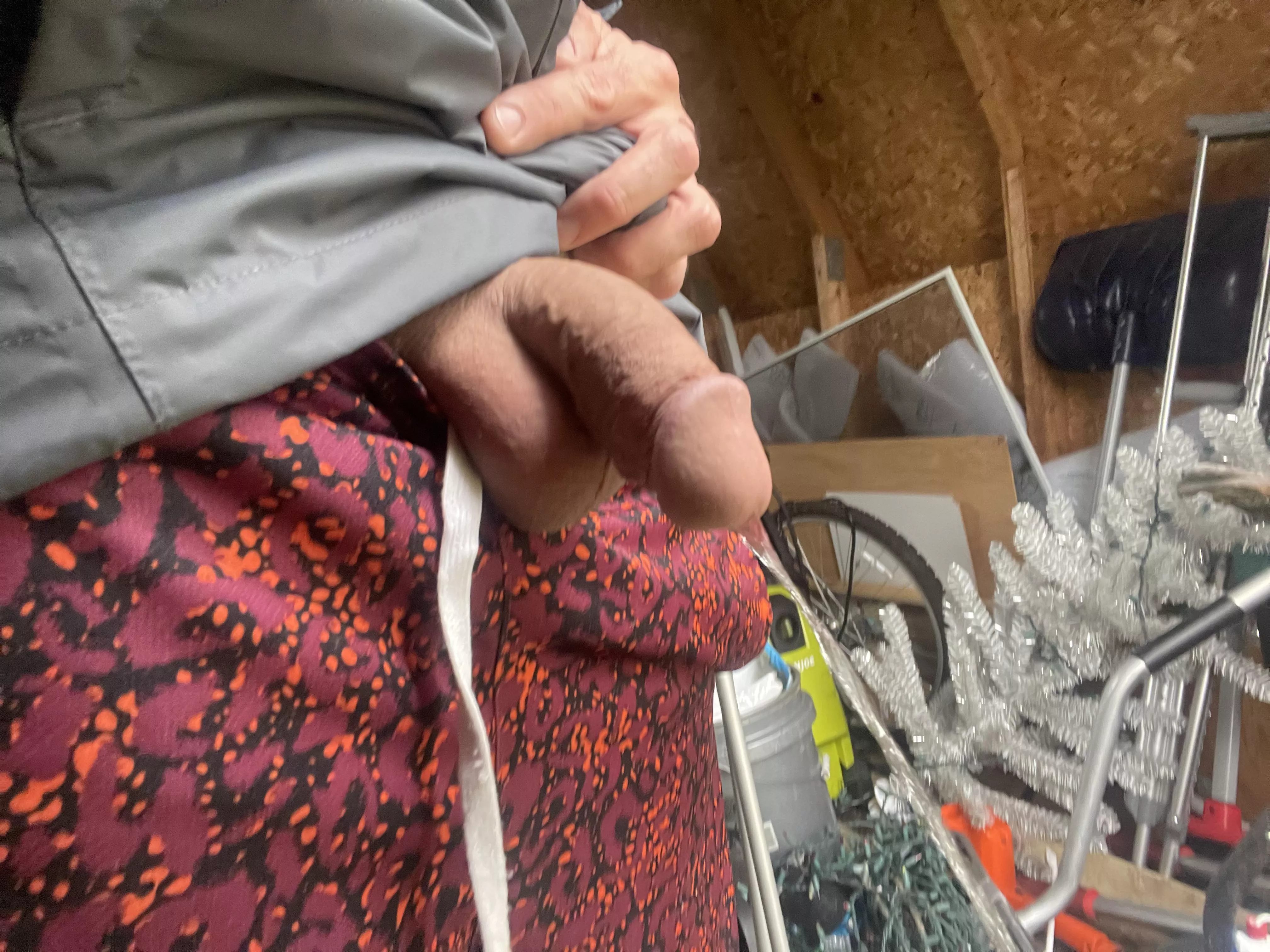 Quick piss in the shed AMA