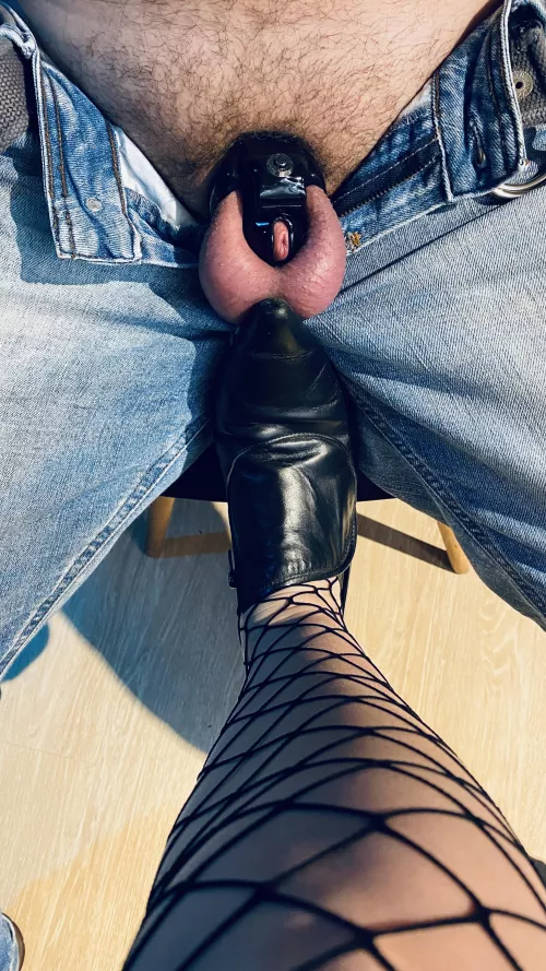 You agree that this is the best way to keep him tame, right?