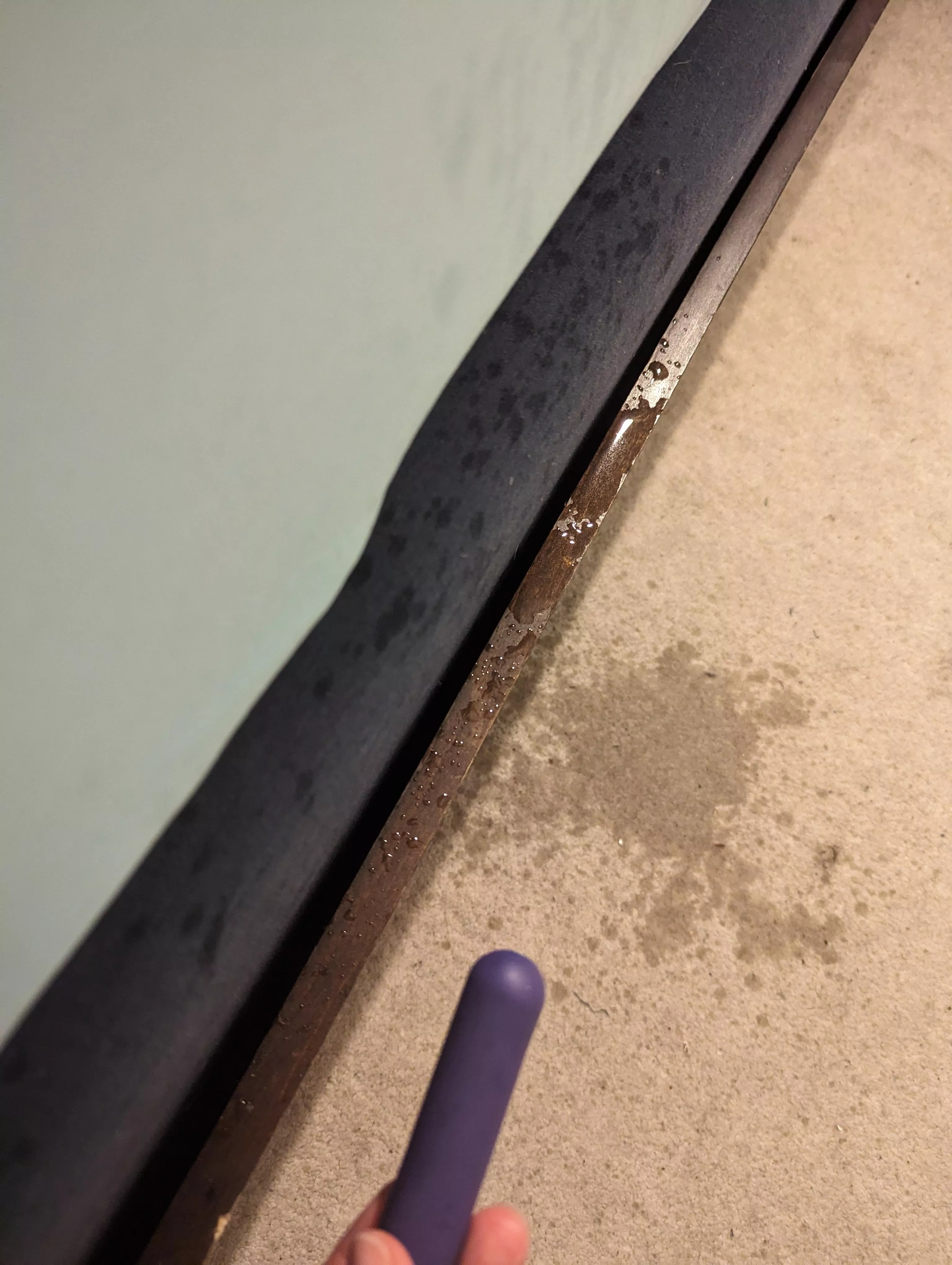 All from this little one? Even I was surprised. 