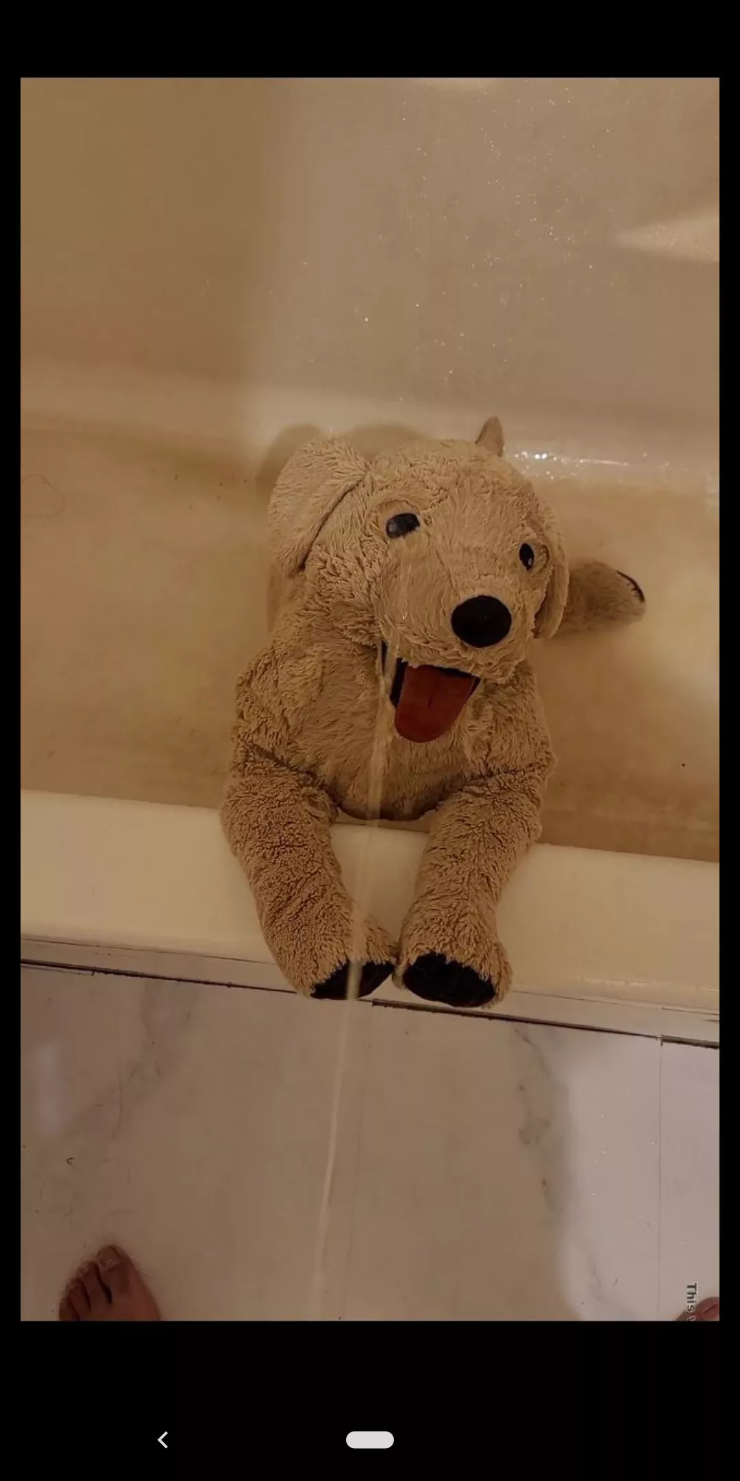 Anybody Indianapolis? 22 M curious to experiment with group WS