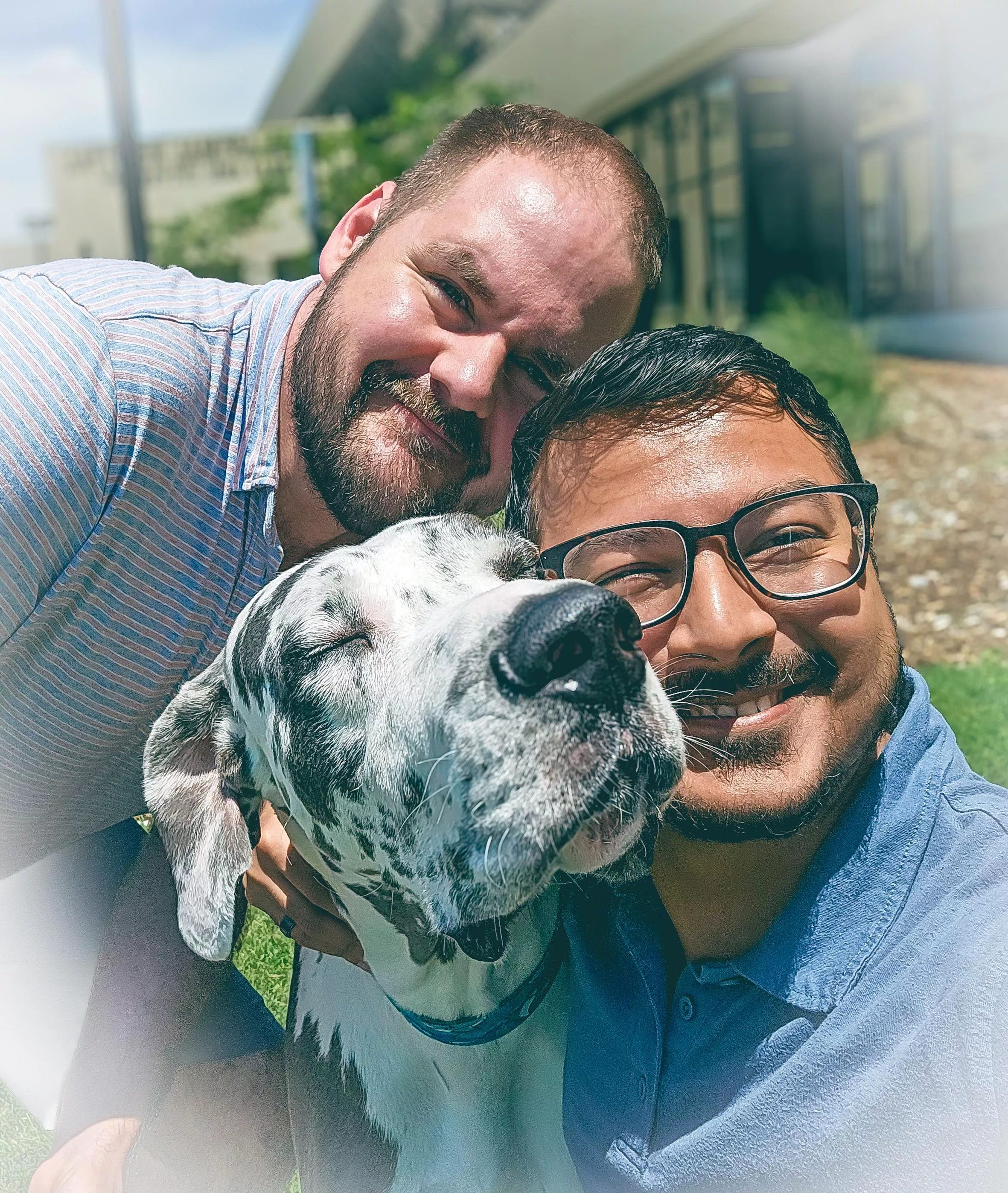 Artie did great in surgery. Heading home now! His dads are relieved and happy!