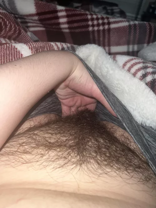 have some fun in bed with my bush?👀
