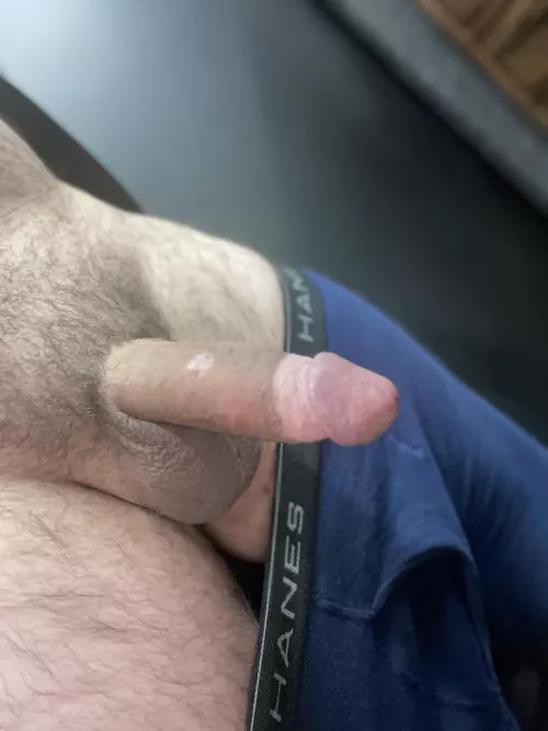 Hope this brightens your morning! (26)