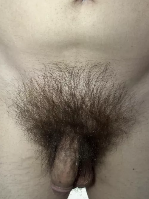 I’m thinking about shaving, do you wanna say goodbye?