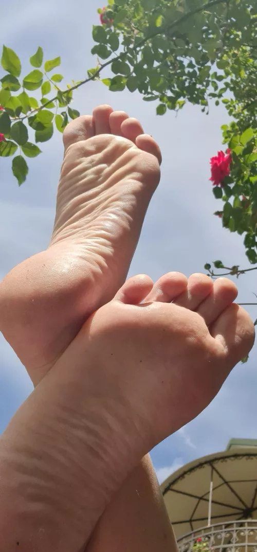 Smell my feet or rose first