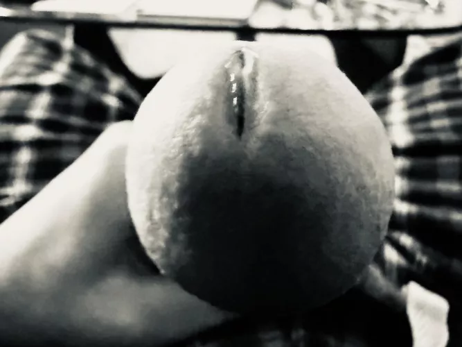 Thanks Reddit! You got me going again! 😏