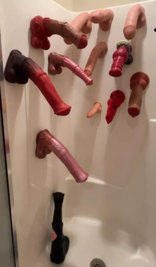 What toys should I buy! 