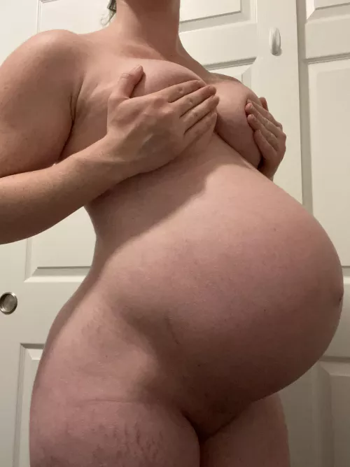 When did your love for preggo women start?