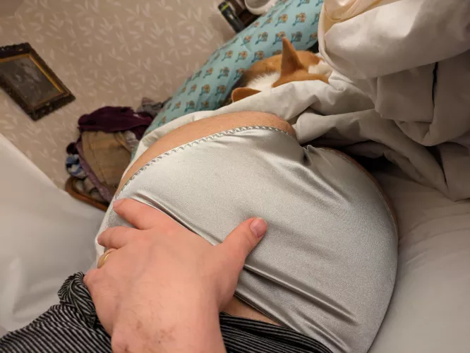 Wifes satin panties looking and feeling nice