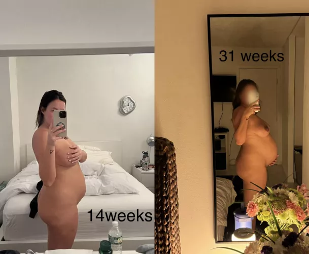 You can fuck me at 14 weeks or 31 weeks, what are you choosing?