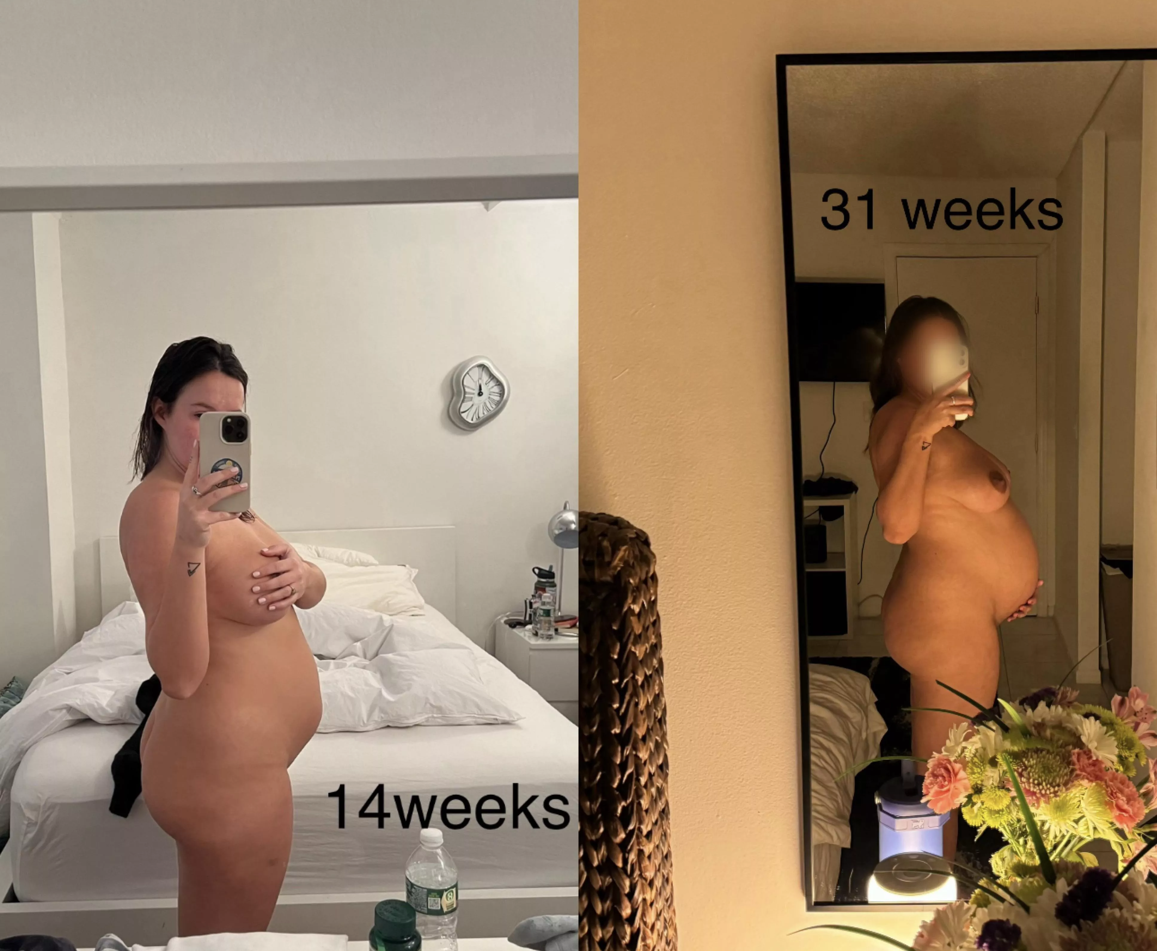 You can fuck me at 14 weeks or 31 weeks, what are you choosing?