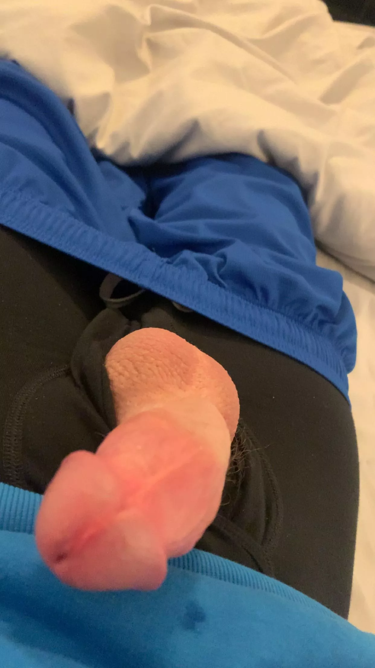 18 bi horny I wanna see ur cum vids hmu