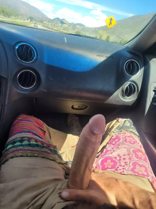 How would you react if you peeked in my car as you passed?