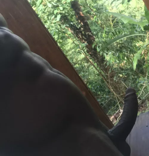 In the middle of the forest with wild snakes