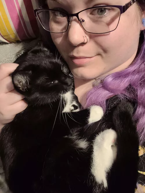 Kitten cuddles are pretty great