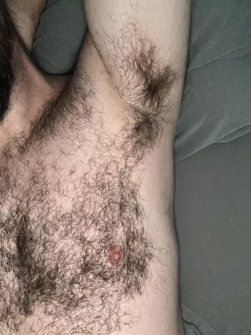 Looking extra hairy this morning. 