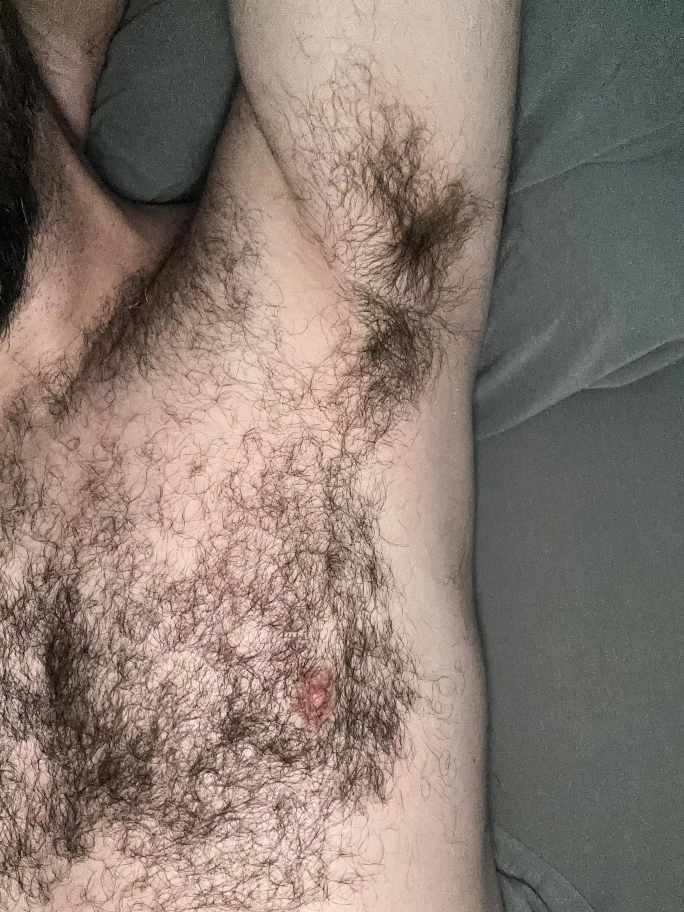 Looking extra hairy this morning. 