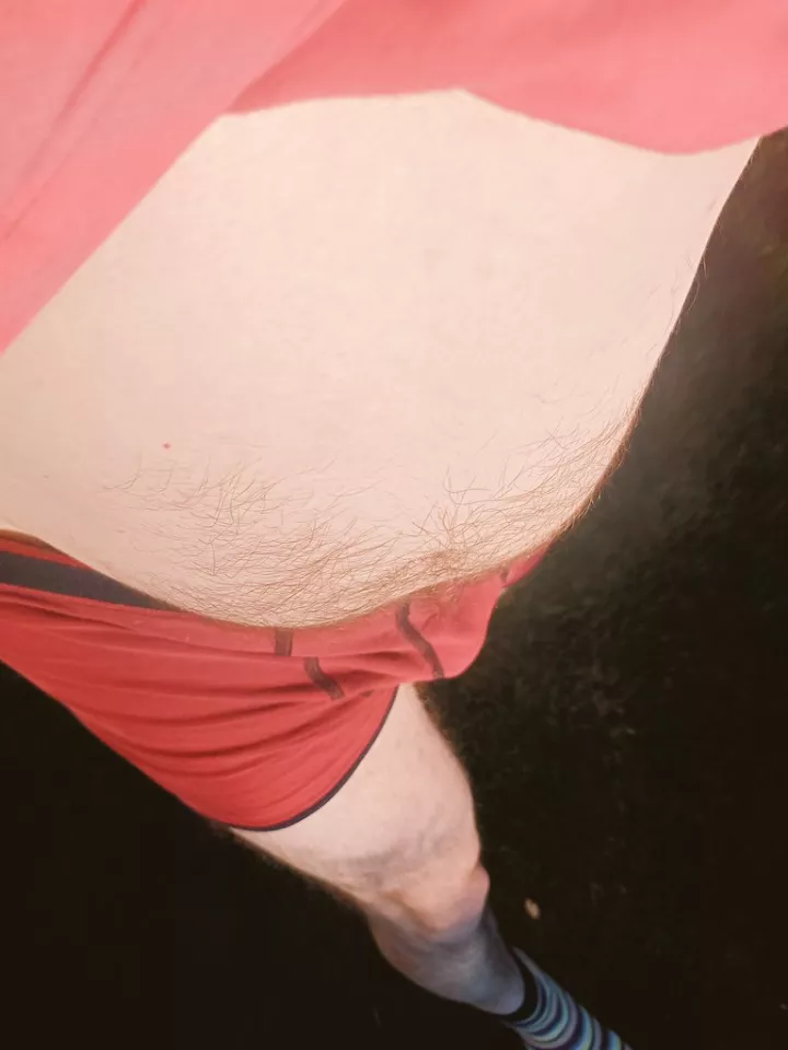 morning walk in the garden (46)