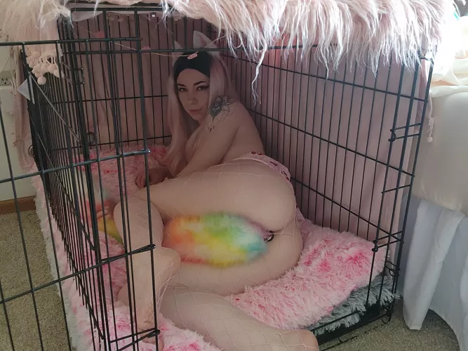 Pet girls get love too 