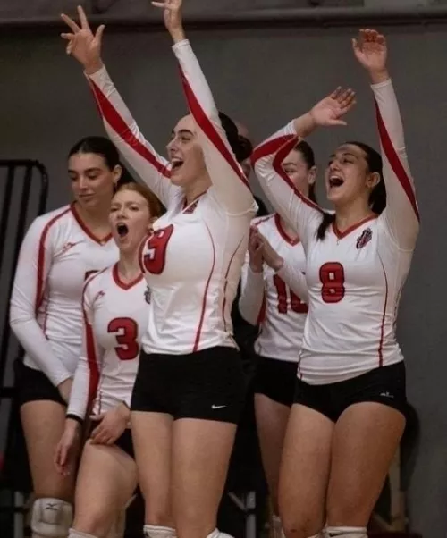 The Love of Volleyballs