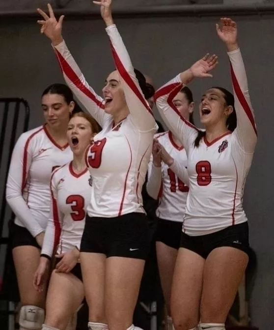 The Love of Volleyballs