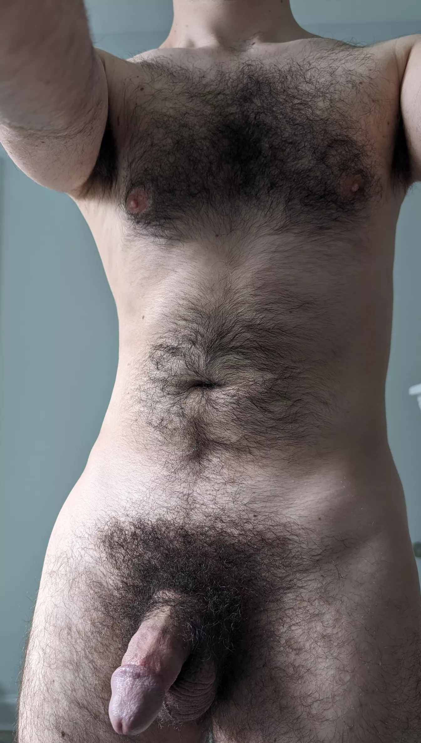 This is what my pubes look like when I do not trim them