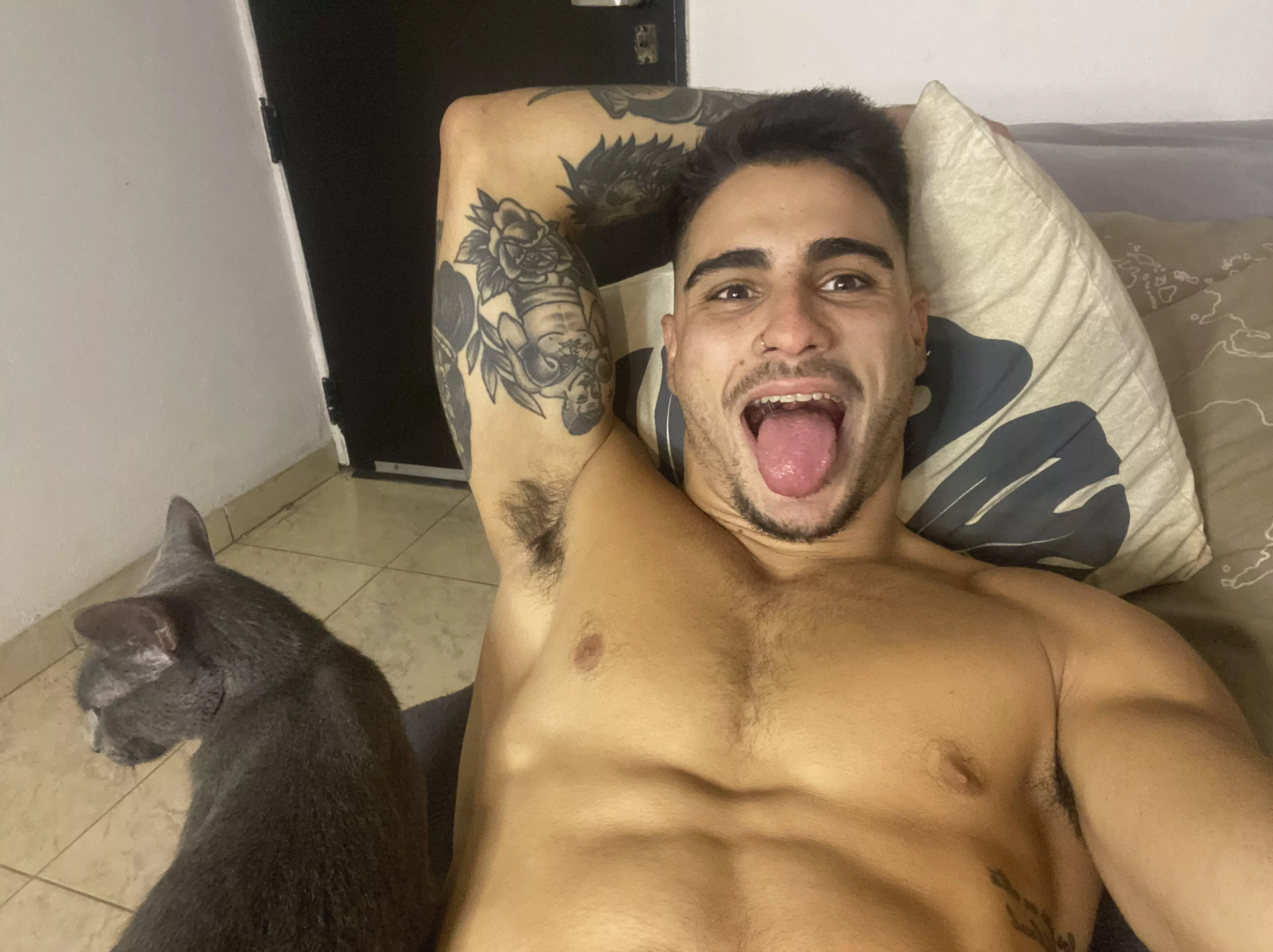 What do you think could be found in the jungle of my armpits? 