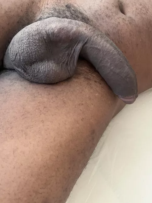Would you suck my balls or my cock first?