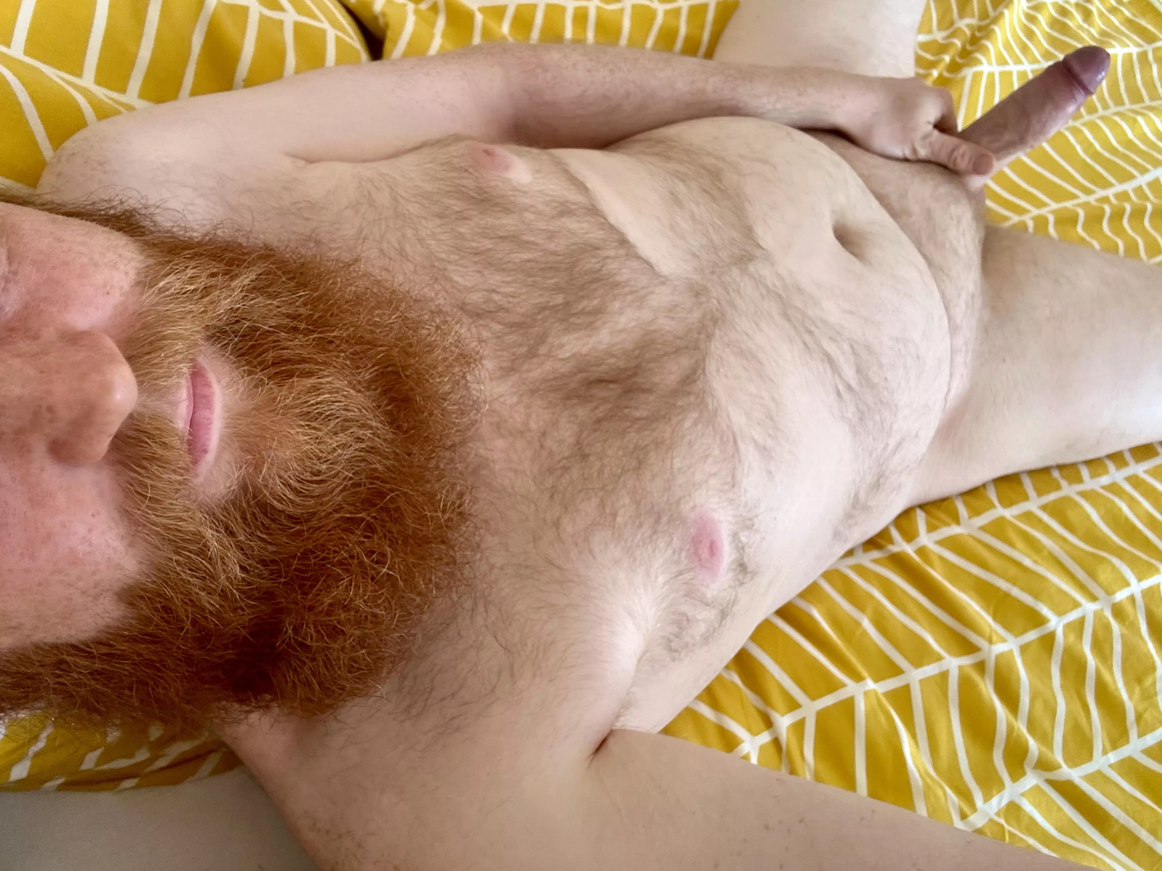 Do you like bearded gingers?