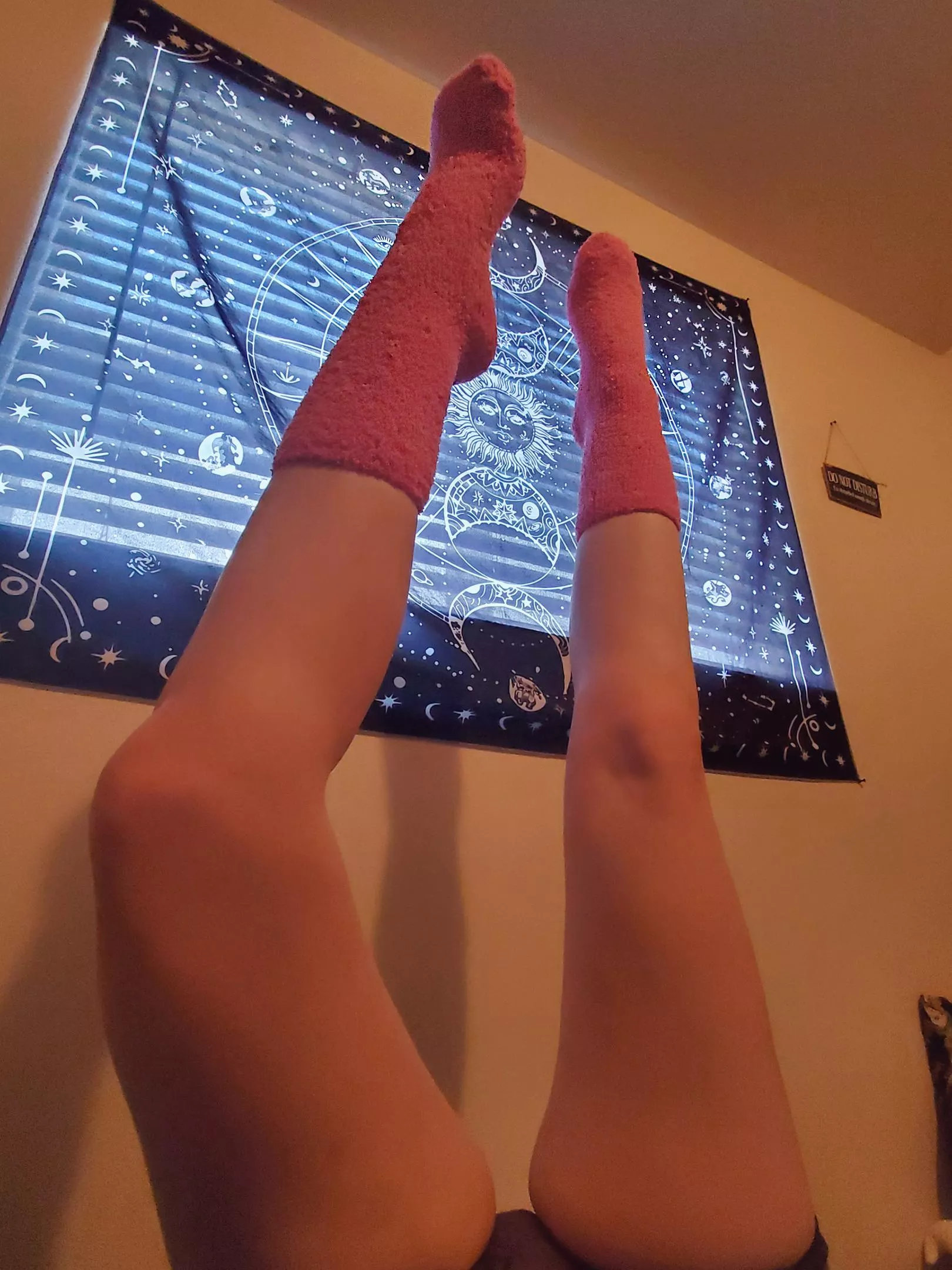 Fuzzies in the heat, these will be going away until winter soon! [Selling]