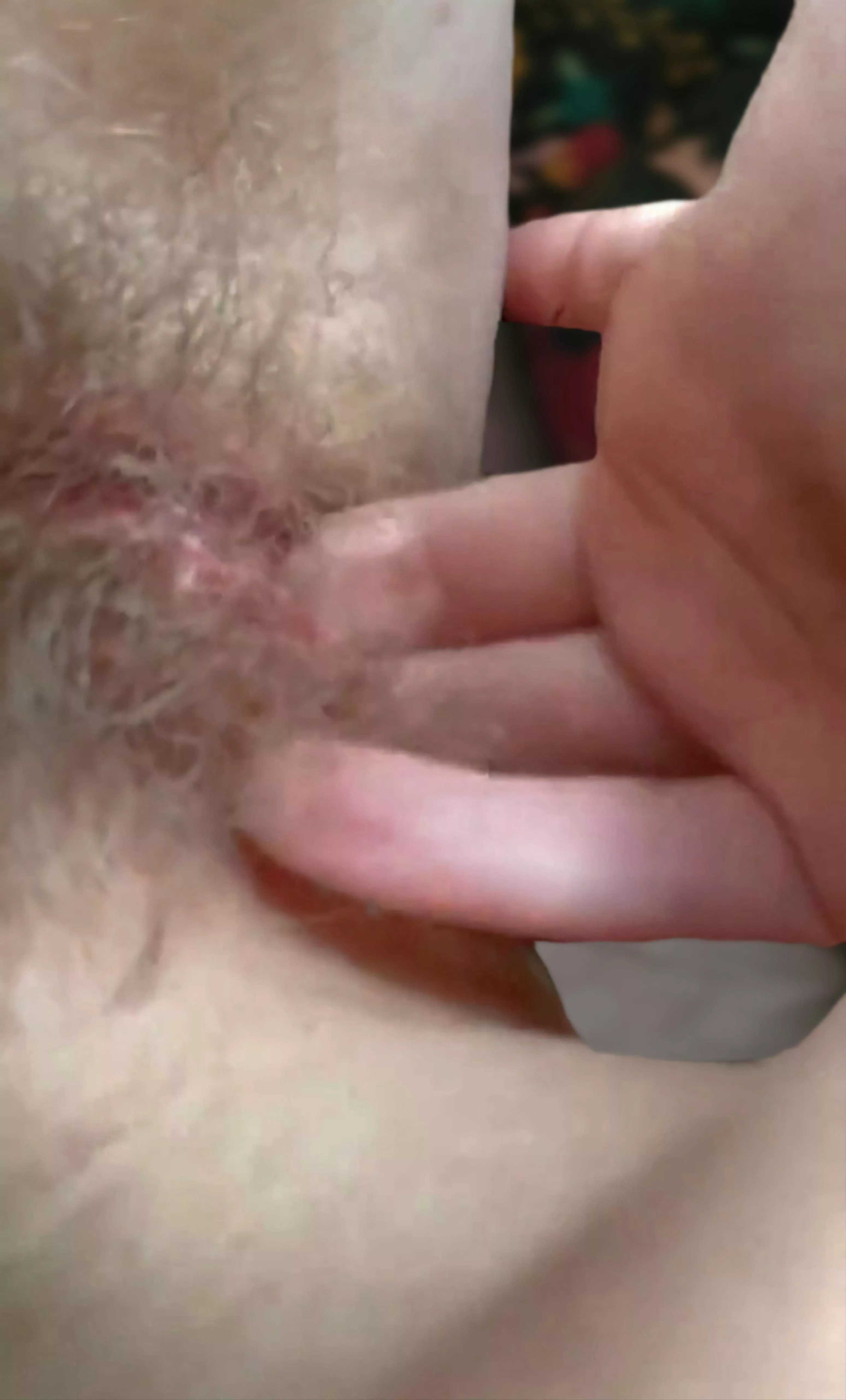 I could use a bush explorer...any volunteers