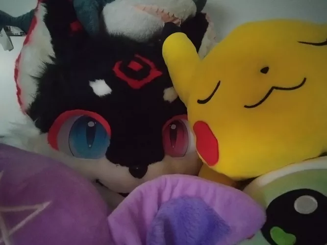 I HAVE BEEN KIDNAPPED BY THE PLUSHIES PLEASE SEND HELP 