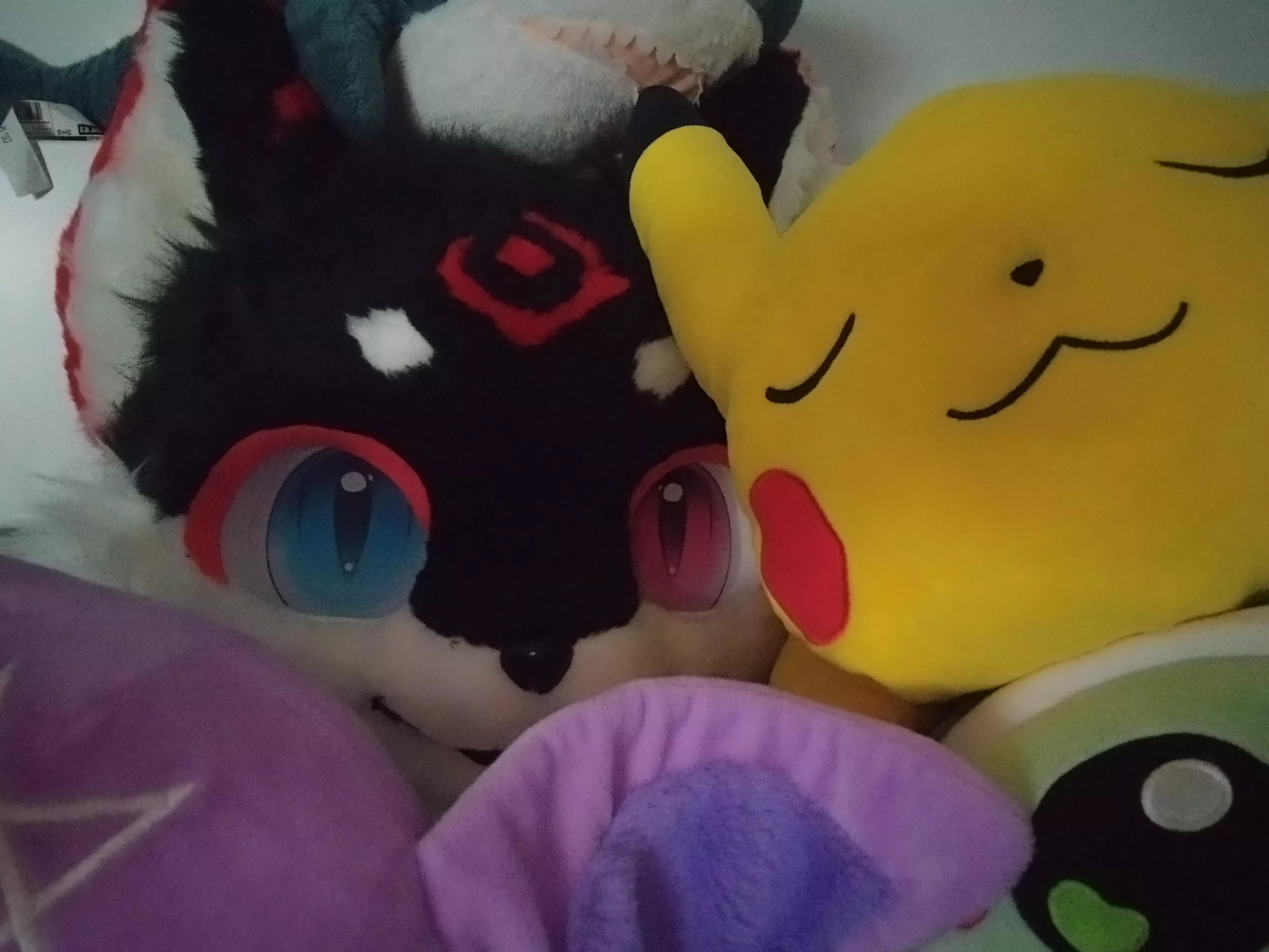 I HAVE BEEN KIDNAPPED BY THE PLUSHIES PLEASE SEND HELP 