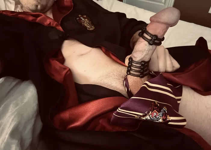 i solemnly swear i am up to no good