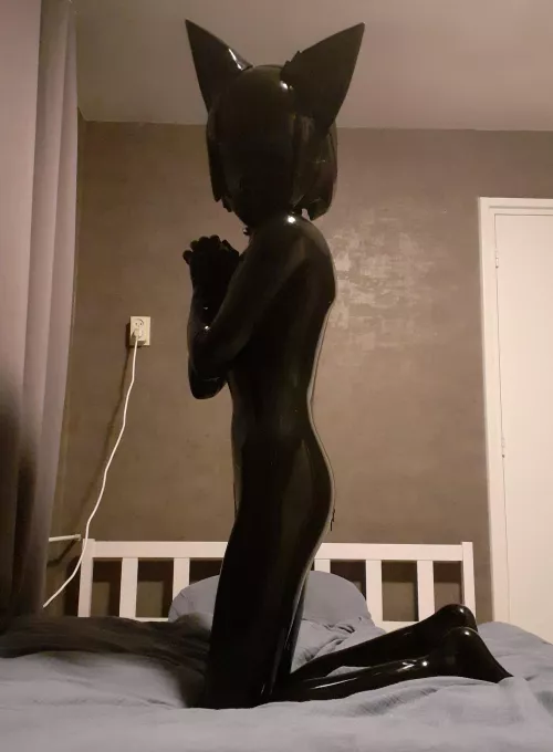 Oh, hi, didn't see you there :3