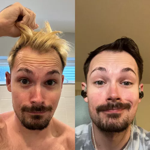 Should I stay blonde or go back to brown??