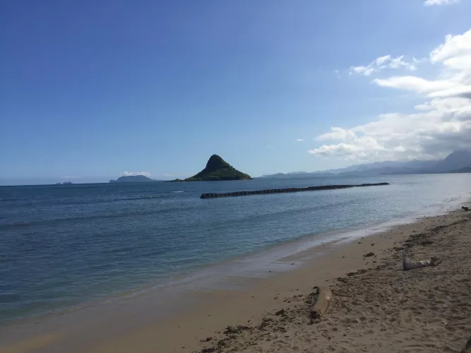 When you live on an island, your world is a beach! 