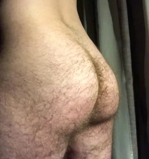 [25] What are you going to do with my hairy ass?
