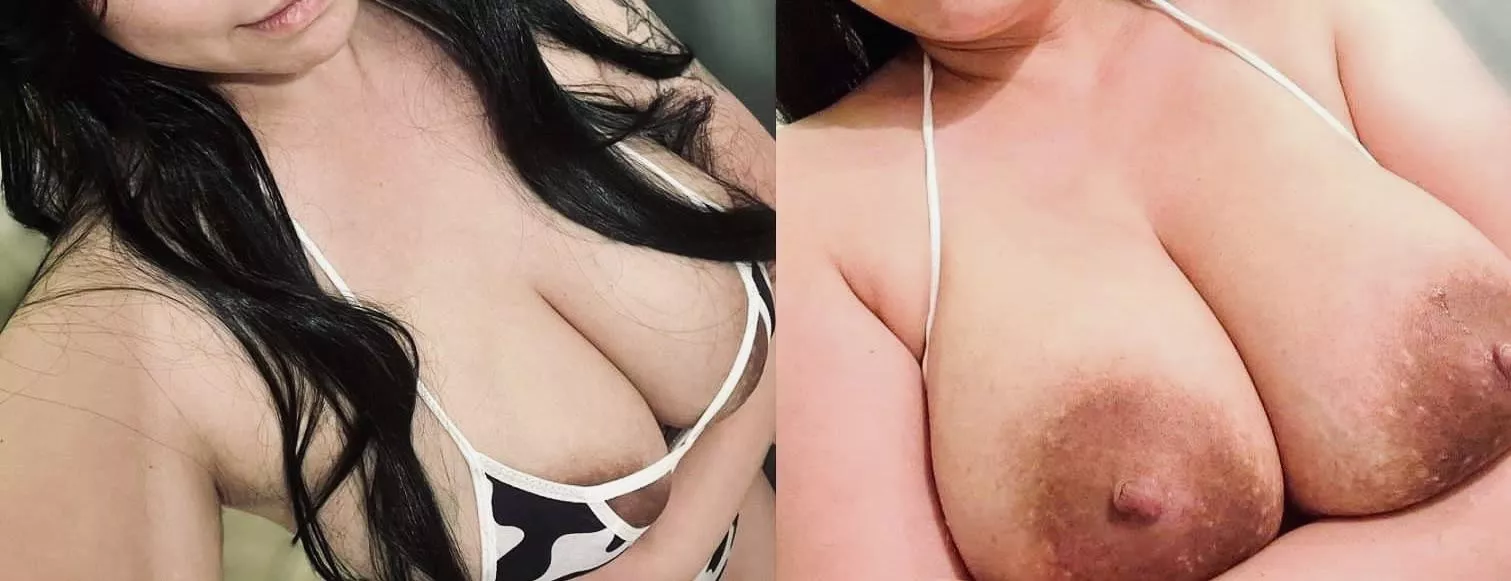 Covered up or all out? (OC)