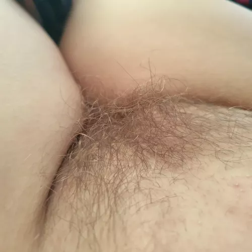 Dive In ...It'll Be A Wild Ride 